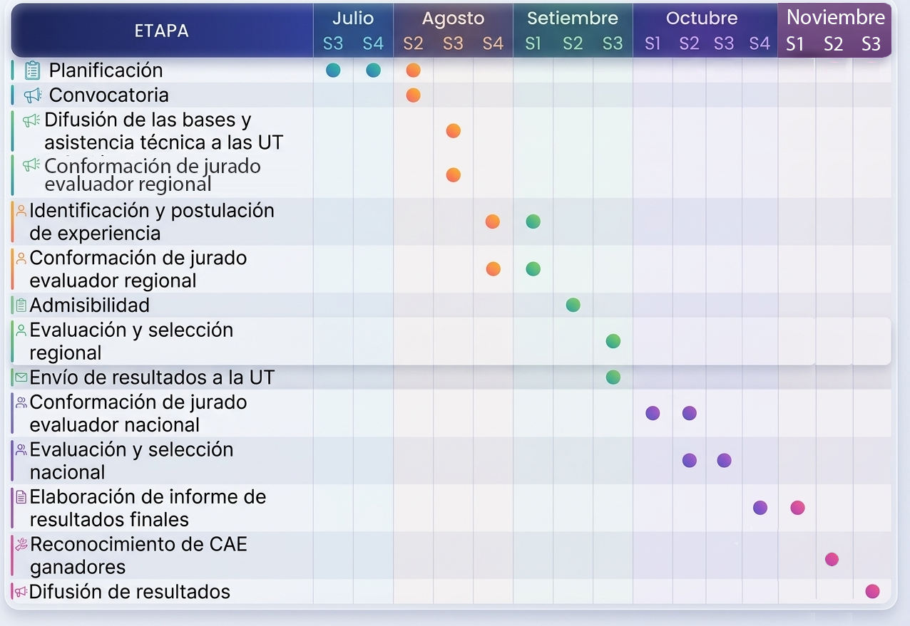 Cronograma del concurso
